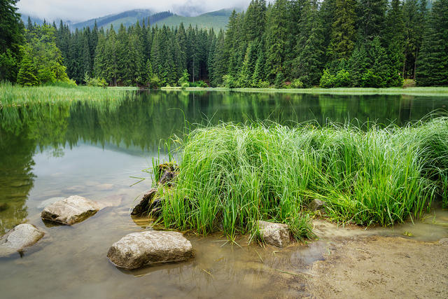 Demänovská dolina