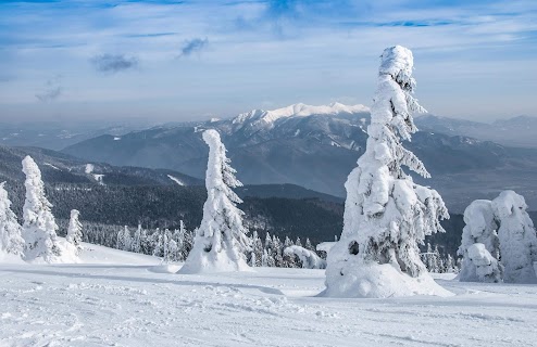 vysoká škola pripojiť 240x320
