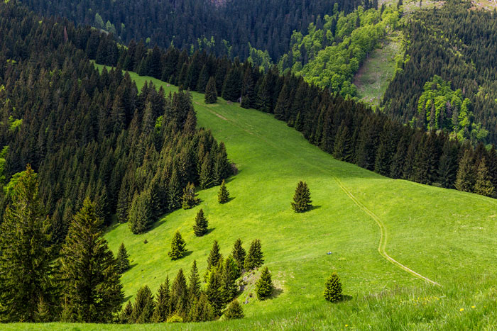slovenské singletracky