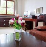 Hotel**** Tulipán Tatranská Lomnica 726 - 132938