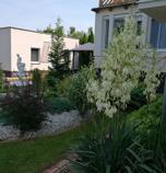 Apartmánový dom Veľký Meder 2363 - 125985