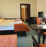 Hotel**** Sorea Regia Bratislava 2706 - 117779