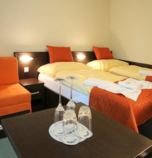 Hotel**** Sorea Regia Bratislava 2706 - 117782