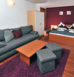 Apartmánový dom Resort vila Beatrice - Depandance Magnolia Tatranská Lomnica 3609 - štúdio Typ A  (28 m&amp;sup2;): 1 x dvojlôžková izba (1 x  manželská posteľ),  + 1 x prístelka (1 x rozkladací gauč), spoločenská miestnosť  prepojená s kuchynským kútom (TV+SAT, rádio, posedenie), kuchynský kút (chladnička, rýchlovarná kanvica, dvojplatnička), kúpelňa (sprchovací kút, WC v kúpeľni, umývadlo)
