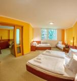 Hotely*** RELAX HOTEL AVENA Liptovský Ján 4161 - 125838