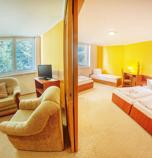 Hotely*** RELAX HOTEL AVENA Liptovský Ján 4161 - 125842